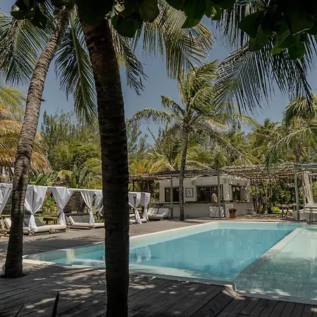 Zebra Boutique Hotel-2